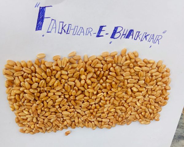 Fakhar-e-bhakar - Image 3