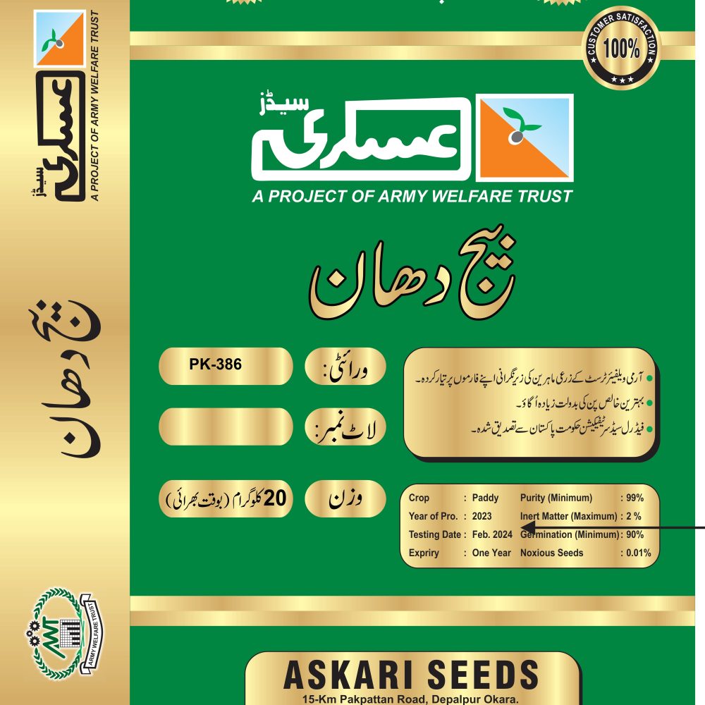 PK-386