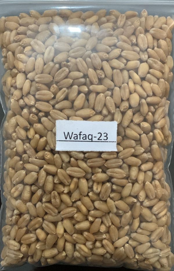 Wafaq-23 - Image 2
