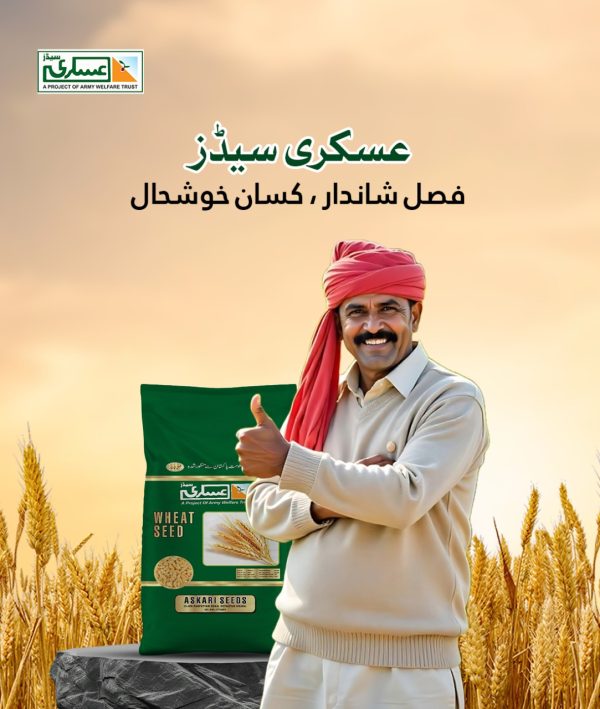 Dilkash