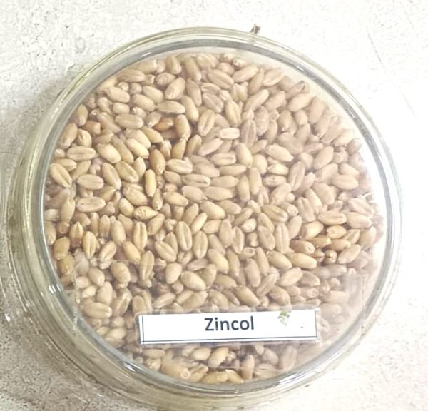 Zincol - Image 2
