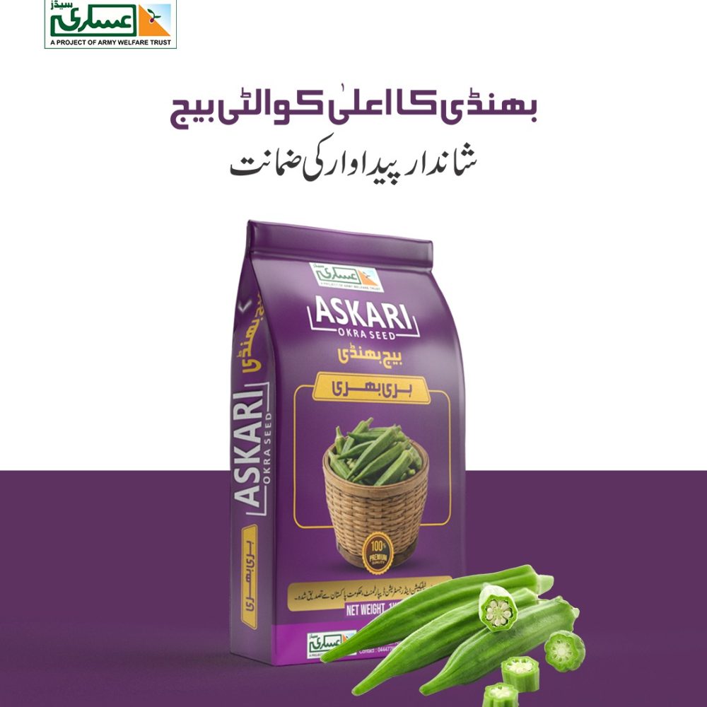 Okra Seeds (Hari Bhari Bhindi)