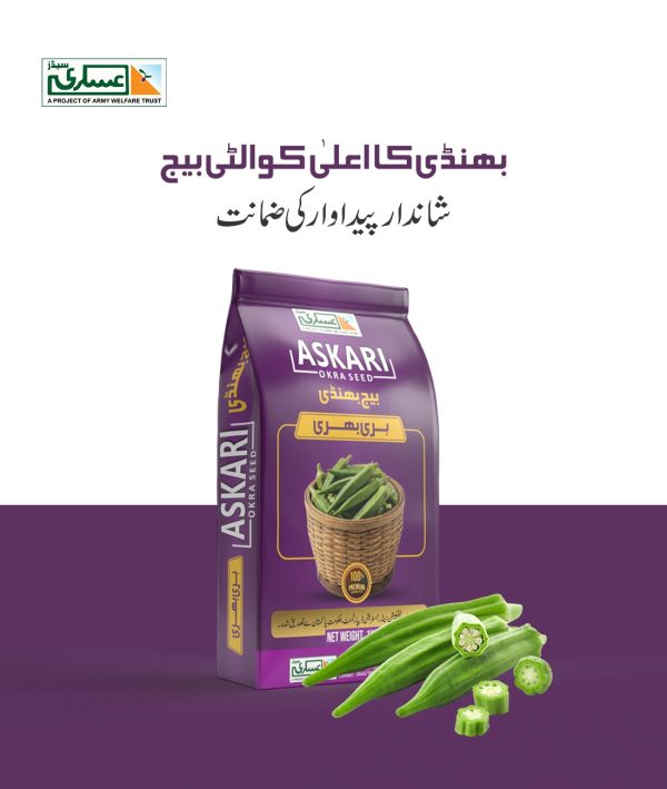 Okra Seeds (Hari Bhari Bhindi)
